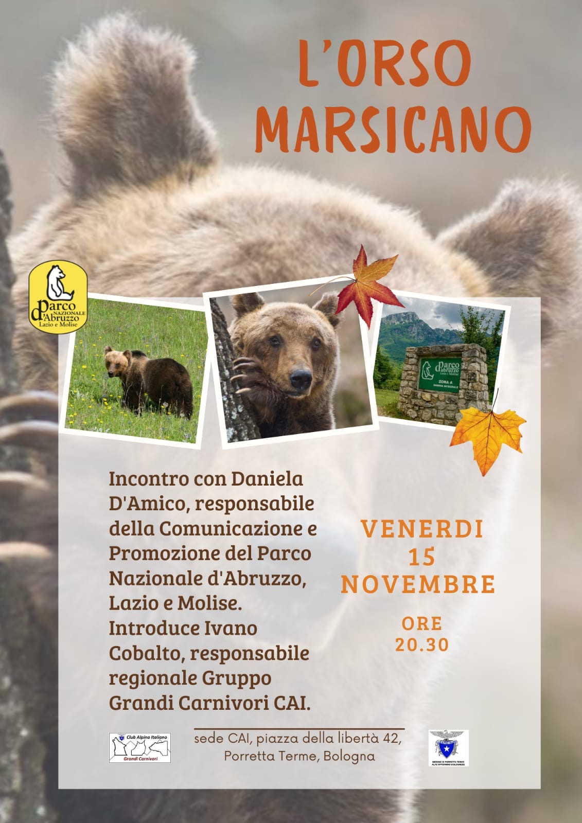 2024 11 15 orsomarsicano ParcoAbruzzo